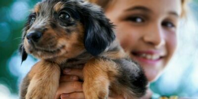 5 Gentle Dog Breeds for Families with Small Children